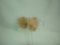 Vintage 40s Beautiful Blonde Mink Clip On Earrings Patent Pending Rare